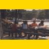 Picnic2001-28_thumb.jpg 2.7K