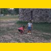 Picnic2001-42_thumb.jpg 2.5K