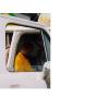 Jam_col5_thumb.jpg 1.9K